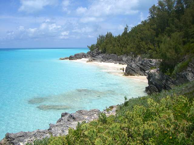 Bermuda Waves