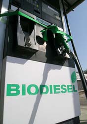 Biodiesel pump