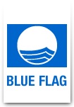 Blue Flag Logo