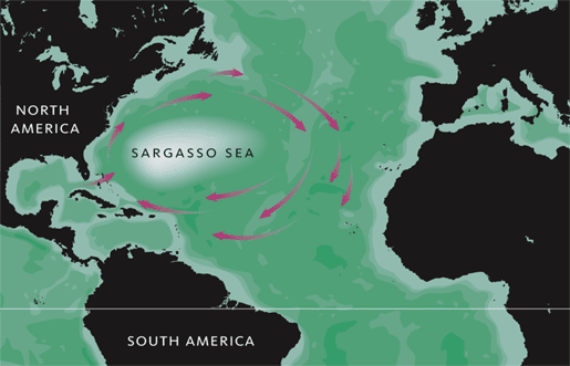 Sargasso Sea Map