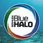 blue-halo-2014