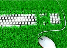 Keyboard surrounded by grass